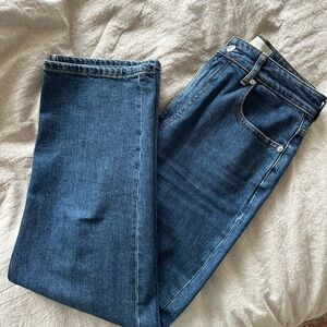 Everlane Curvy Way High Jean 27R